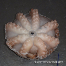 bevroren gigantische octopus